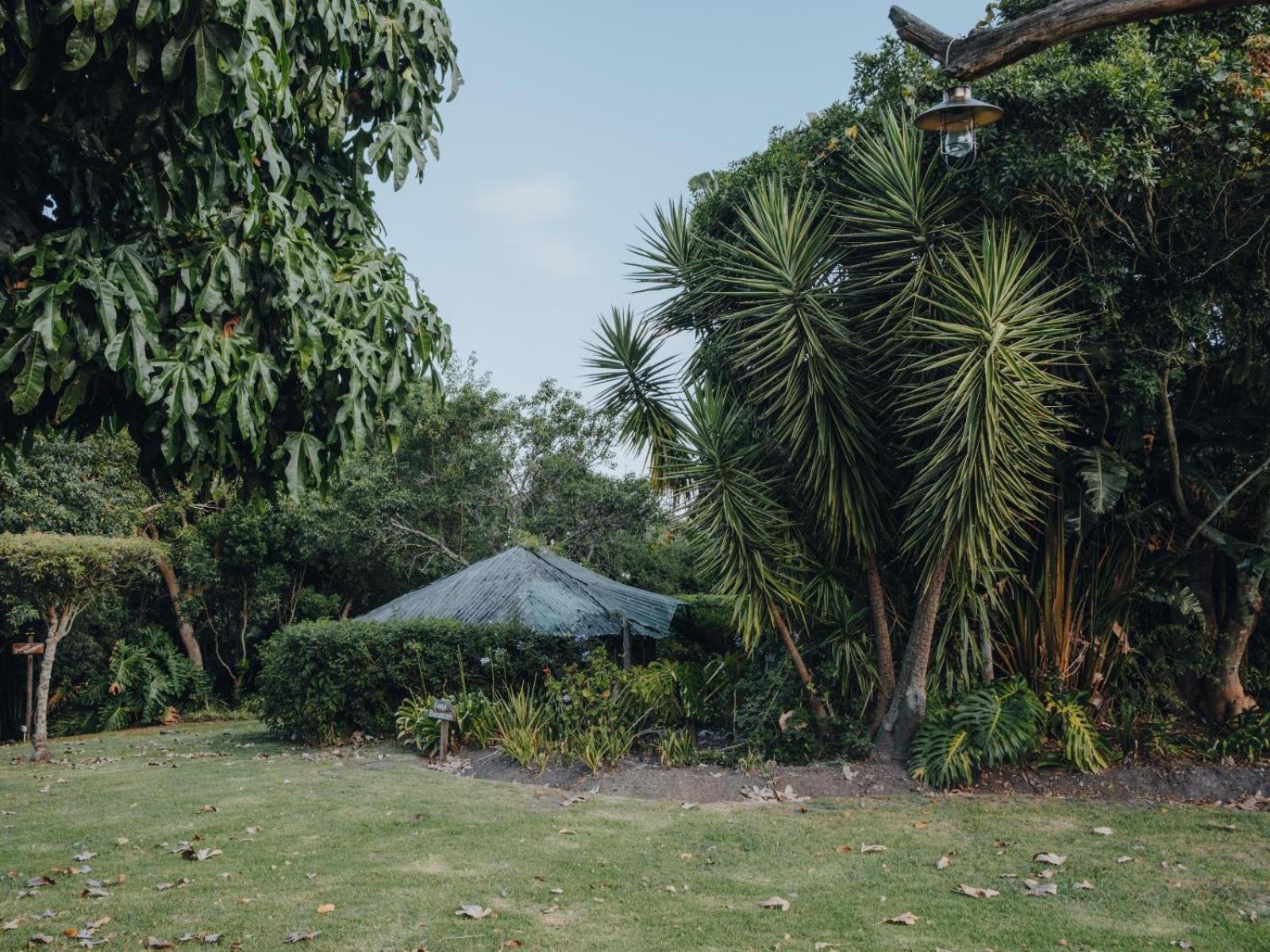 Firefly Falls Plettenberg Bay Exterior photo