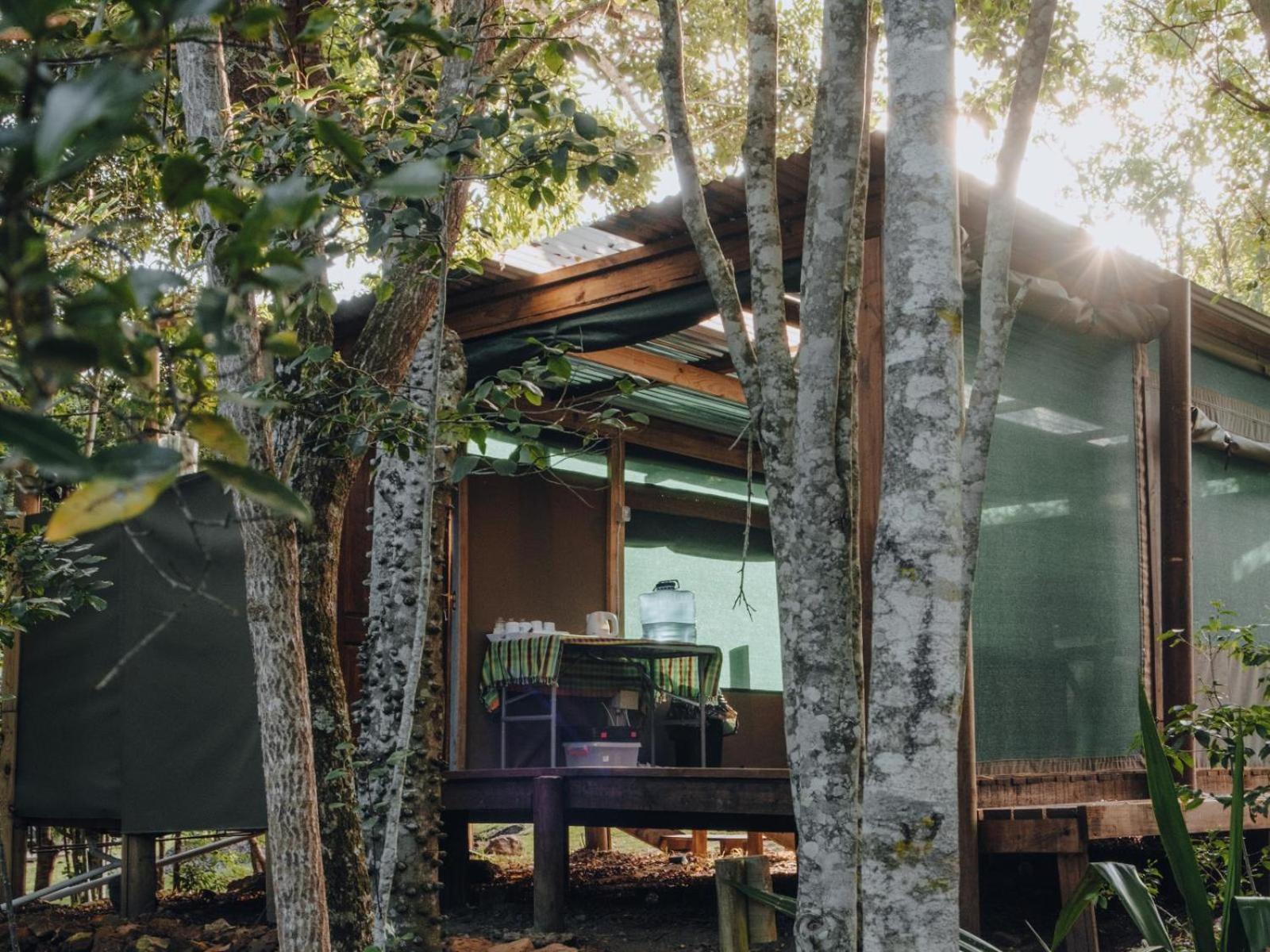 Firefly Falls Plettenberg Bay Exterior photo